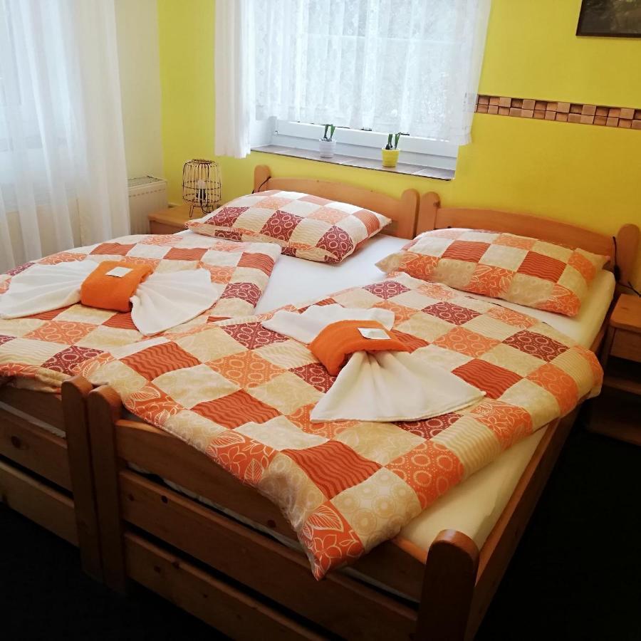 Pension Pastis Janov Exteriör bild